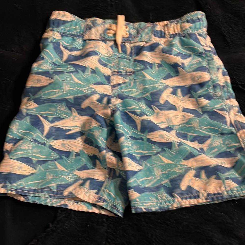 Swim trunks